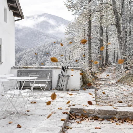Spain in Colour: Where to Chase Autumn Foliage from the Pyrenees to the Beech Woods of Irati